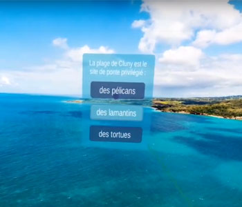 VR-Guadeloupe photo drone