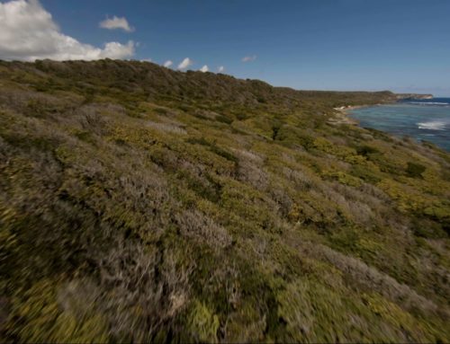 FPV Paysages Guadeloupe